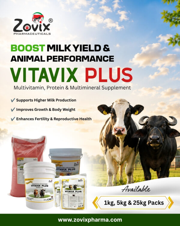 VITAVIX veterinary feed powder containing Vitamin A 700000 IU, Vitamin D3 70000 IU, Vitamin E 250 mg, Calcium 25.0%, Phosphorus 12.75%, Zinc 9600 mg, Magnesium 6000 mg, Iron 1500 mg, Copper 1200 mg, Cobalt 150 mg, Iodine 325 mg, Nicotinamide 1000 mg, Sulphur 0.72%, Potassium 100 mg and Sodium 5.9 mg along with VITAVIX PLUS chocolate flavour microgranulated veterinary feed supplement containing multi minerals, vitamins and chelated formulation for growth, immunity, digestion and overall livestock health by Zovix Pharmaceuticals, veterinary pharmaceutical company in India, veterinary pharma manufacturer India, veterinary medicine manufacturer, veterinary pharmaceutical exporter India, animal healthcare products India, veterinary injection manufacturer India, veterinary bolus manufacturer India, animal feed supplement manufacturer India, veterinary pharma franchise India, third party veterinary manufacturing India, veterinary antibiotic injection manufacturer, livestock medicine supplier India, veterinary pharma distributor India, WHO GMP veterinary pharmaceutical company India, ISO certified veterinary pharma company India, veterinary medicines for cattle India, animal health product exporter India, veterinary pharma company Panchkula, veterinary pharma company Haryana