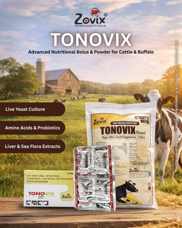 TONOVIX veterinary bolus and powder feed supplement containing Live Yeast Culture, Amino Acids, Lactobacillus, Liver Extract, Sea Flora Extract, Sodium Bicarbonate, Choline Chloride, Saccharomyces cerevisiae, Bacillus subtilis, DL-Methionine and Dextrose for rumen health, digestion, and productivity in livestock by Zovix Pharmaceuticals, veterinary pharmaceutical company in India, veterinary pharma manufacturer India, veterinary medicine manufacturer, veterinary pharmaceutical exporter India, animal healthcare products India, veterinary injection manufacturer India, veterinary bolus manufacturer India, animal feed supplement manufacturer India, veterinary pharma franchise India, third party veterinary manufacturing India, veterinary antibiotic injection manufacturer, livestock medicine supplier India, veterinary pharma distributor India, WHO GMP veterinary pharma company India, ISO certified veterinary pharma company India, veterinary medicines for cattle India, animal health product exporter India, veterinary pharma company Panchkula, veterinary pharma company Haryana