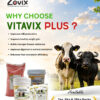 VITAVIX veterinary feed powder containing Vitamin A 700000 IU, Vitamin D3 70000 IU, Vitamin E 250 mg, Calcium 25.0%, Phosphorus 12.75%, Zinc 9600 mg, Magnesium 6000 mg, Iron 1500 mg, Copper 1200 mg, Cobalt 150 mg, Iodine 325 mg, Nicotinamide 1000 mg, Sulphur 0.72%, Potassium 100 mg and Sodium 5.9 mg along with VITAVIX PLUS chocolate flavour microgranulated veterinary feed supplement containing multi minerals, vitamins and chelated formulation for growth, immunity, digestion and overall livestock health by Zovix Pharmaceuticals, veterinary pharmaceutical company in India, veterinary pharma manufacturer India, veterinary medicine manufacturer, veterinary pharmaceutical exporter India, animal healthcare products India, veterinary injection manufacturer India, veterinary bolus manufacturer India, animal feed supplement manufacturer India, veterinary pharma franchise India, third party veterinary manufacturing India, veterinary antibiotic injection manufacturer, livestock medicine supplier India, veterinary pharma distributor India, WHO GMP veterinary pharmaceutical company India, ISO certified veterinary pharma company India, veterinary medicines for cattle India, animal health product exporter India, veterinary pharma company Panchkula, veterinary pharma company Haryana