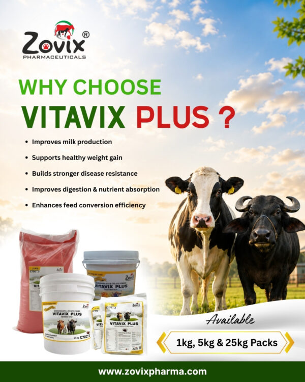 VITAVIX veterinary feed powder containing Vitamin A 700000 IU, Vitamin D3 70000 IU, Vitamin E 250 mg, Calcium 25.0%, Phosphorus 12.75%, Zinc 9600 mg, Magnesium 6000 mg, Iron 1500 mg, Copper 1200 mg, Cobalt 150 mg, Iodine 325 mg, Nicotinamide 1000 mg, Sulphur 0.72%, Potassium 100 mg and Sodium 5.9 mg along with VITAVIX PLUS chocolate flavour microgranulated veterinary feed supplement containing multi minerals, vitamins and chelated formulation for growth, immunity, digestion and overall livestock health by Zovix Pharmaceuticals, veterinary pharmaceutical company in India, veterinary pharma manufacturer India, veterinary medicine manufacturer, veterinary pharmaceutical exporter India, animal healthcare products India, veterinary injection manufacturer India, veterinary bolus manufacturer India, animal feed supplement manufacturer India, veterinary pharma franchise India, third party veterinary manufacturing India, veterinary antibiotic injection manufacturer, livestock medicine supplier India, veterinary pharma distributor India, WHO GMP veterinary pharmaceutical company India, ISO certified veterinary pharma company India, veterinary medicines for cattle India, animal health product exporter India, veterinary pharma company Panchkula, veterinary pharma company Haryana