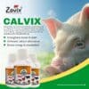 CALVIX veterinary liquid feed supplement containing Calcium 2080 mg, Phosphorous 1040 mg, Vitamin D3 10000 IU, Vitamin B12 150 mcg, Carbohydrate 40000 mg, Cobalt Chloride 20 mg, Lipase Enzyme 10 mg, Leptadenia Reticulata (Jivanti) 300 mg and Asparagus Racemosa (Shatavari) 1000 mg for bone strength, milk production, fertility, digestion and overall livestock health by Zovix Pharmaceuticals, veterinary pharmaceutical company in India, veterinary pharma manufacturer India, veterinary medicine manufacturer, veterinary pharmaceutical exporter India, animal healthcare products India, veterinary injection manufacturer India, veterinary bolus manufacturer India, animal feed supplement manufacturer India, veterinary pharma franchise India, third party veterinary manufacturing India, veterinary antibiotic injection manufacturer, livestock medicine supplier India, veterinary pharma distributor India, WHO GMP veterinary pharma company India, ISO certified veterinary pharma company India, veterinary medicines for cattle India, animal health product exporter India, veterinary pharma company Panchkula, veterinary pharma company Haryana