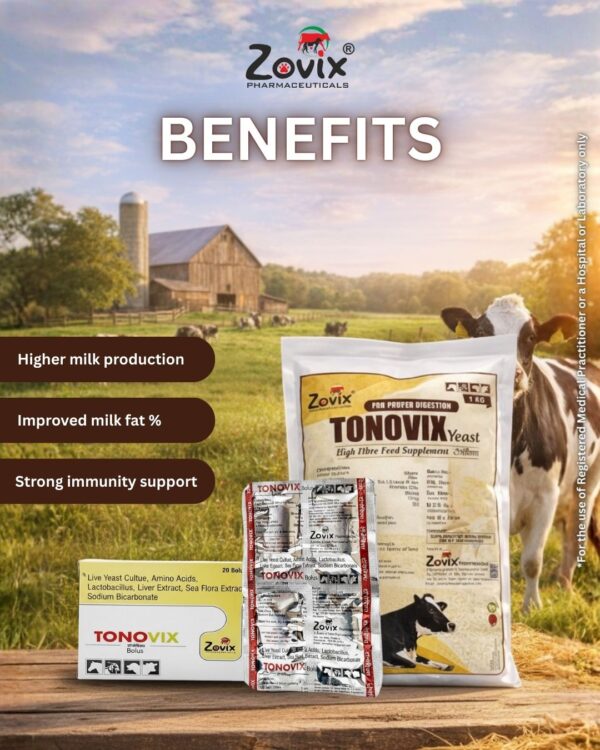 TONOVIX veterinary bolus and powder feed supplement containing Live Yeast Culture, Amino Acids, Lactobacillus, Liver Extract, Sea Flora Extract, Sodium Bicarbonate, Choline Chloride, Saccharomyces cerevisiae, Bacillus subtilis, DL-Methionine and Dextrose for rumen health, digestion, and productivity in livestock by Zovix Pharmaceuticals, veterinary pharmaceutical company in India, veterinary pharma manufacturer India, veterinary medicine manufacturer, veterinary pharmaceutical exporter India, animal healthcare products India, veterinary injection manufacturer India, veterinary bolus manufacturer India, animal feed supplement manufacturer India, veterinary pharma franchise India, third party veterinary manufacturing India, veterinary antibiotic injection manufacturer, livestock medicine supplier India, veterinary pharma distributor India, WHO GMP veterinary pharma company India, ISO certified veterinary pharma company India, veterinary medicines for cattle India, animal health product exporter India, veterinary pharma company Panchkula, veterinary pharma company Haryana
