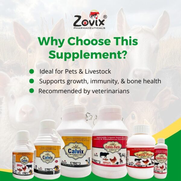 Zovix Pharma CALVIX nutritional supplement product image.