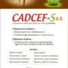 cadcefs,cadcef-S,zovixpharma,veterinarymedicine