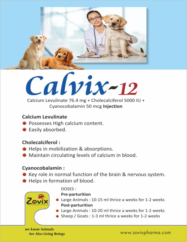 Calvix | Powerful feed supplement for dairy and farm animals | Bone ...