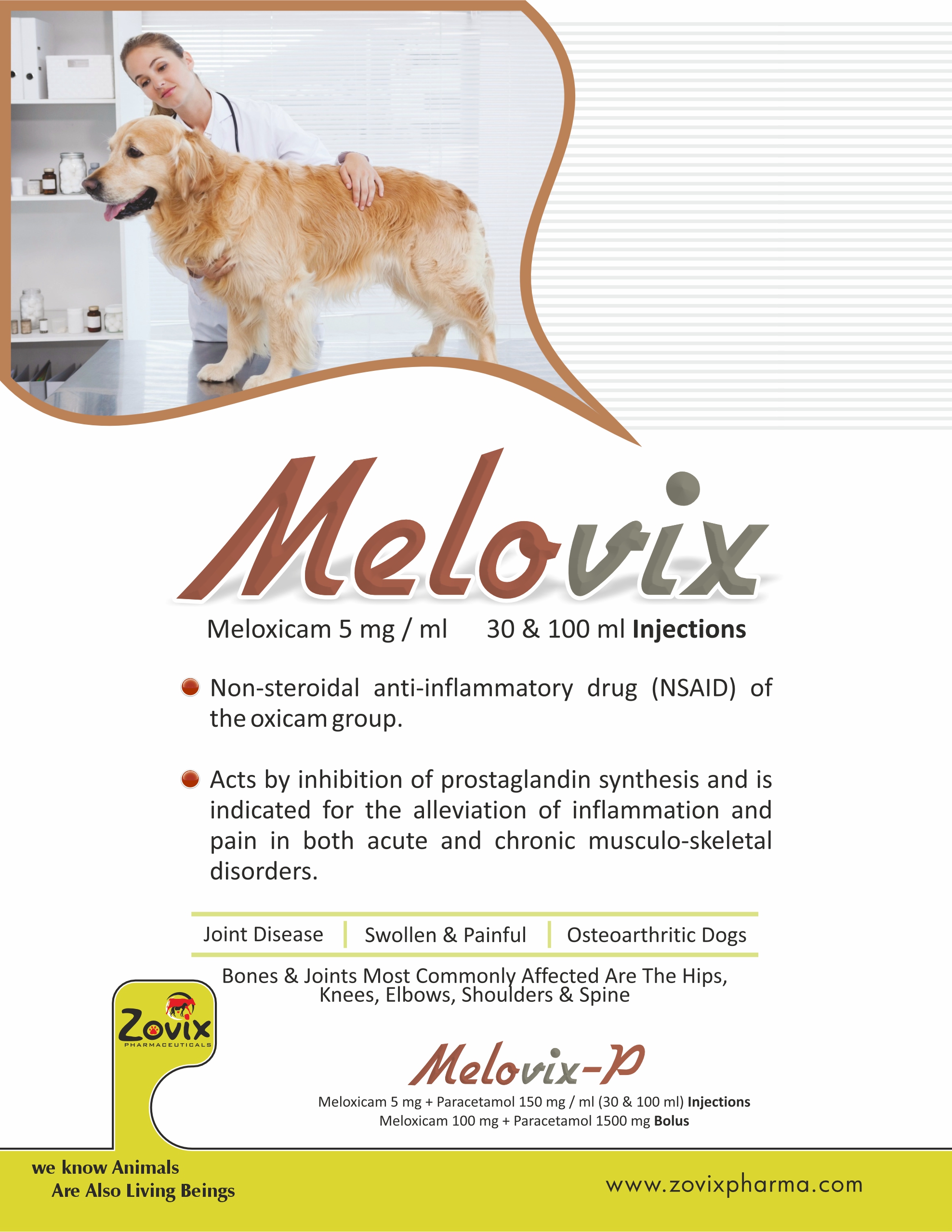 MELOVIX™