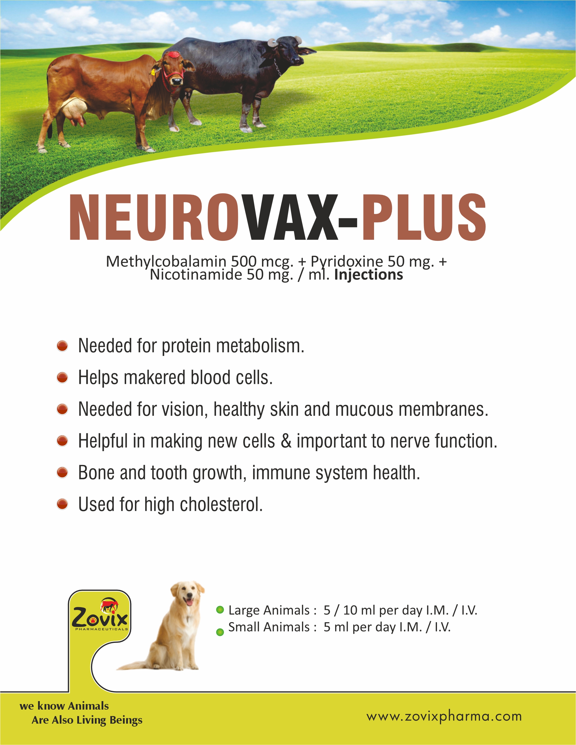 NEUROVAX - PLUS