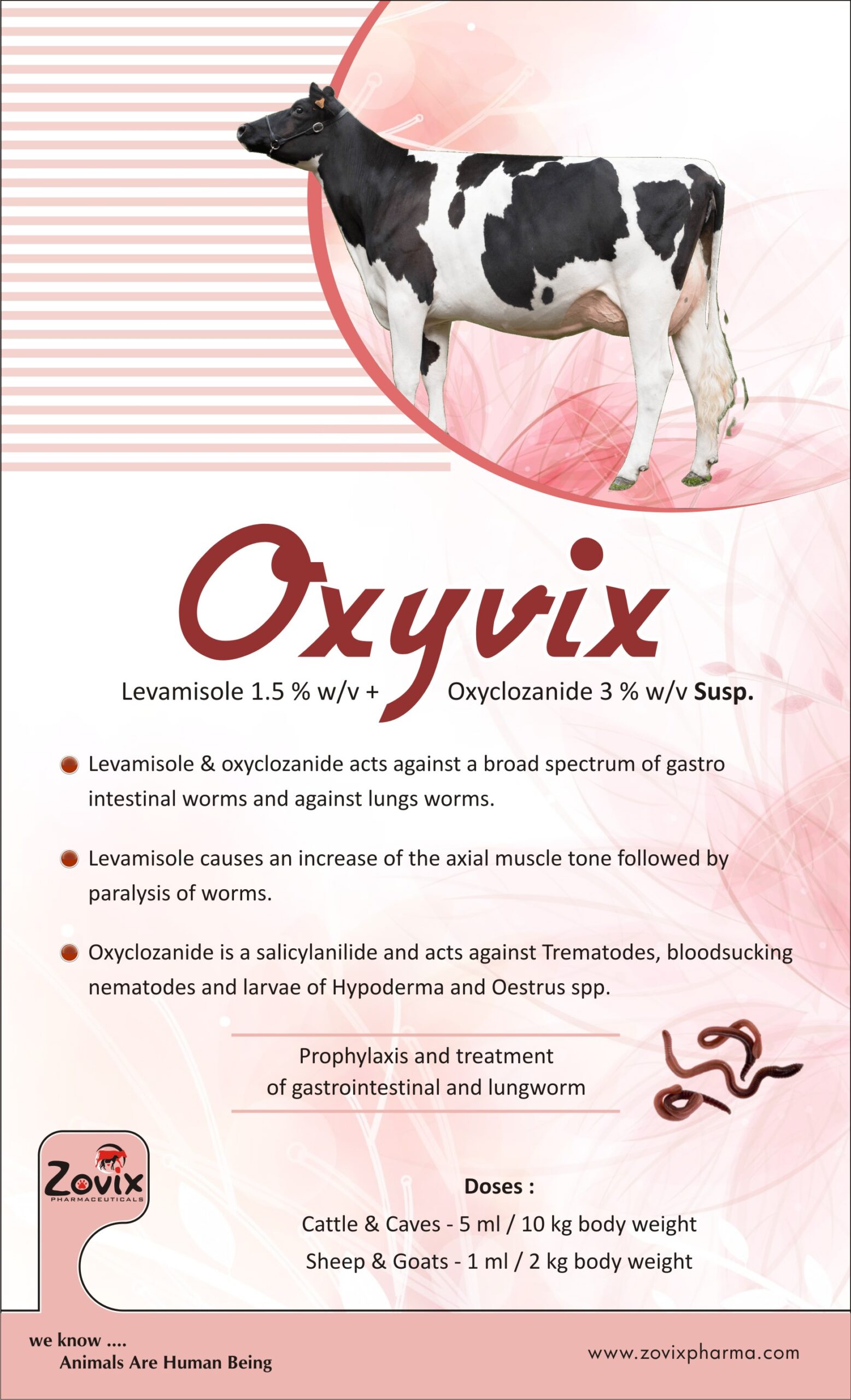 oxyvix,injection,zovixpharma,veterinaryinjection
