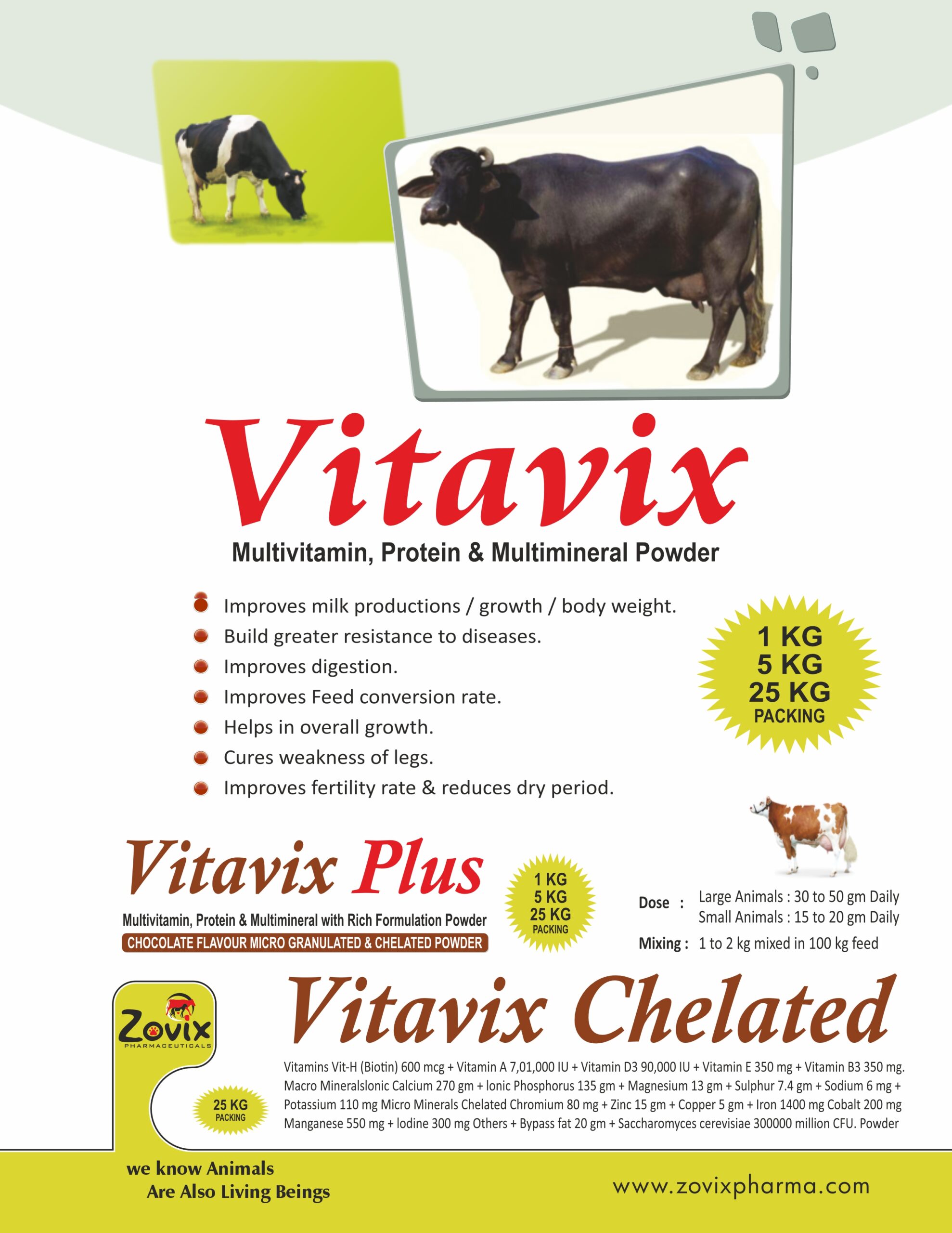 VITAVIX