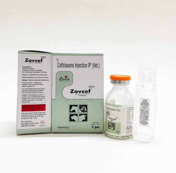 zovcef,zovixpharma,veterinarymedicine,zovixpanchkula