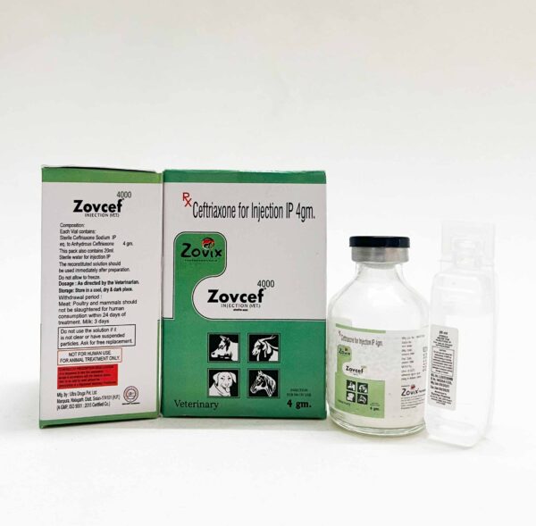 zovcef,zovixpharma,veterinarymedicine,zovixpanchkula