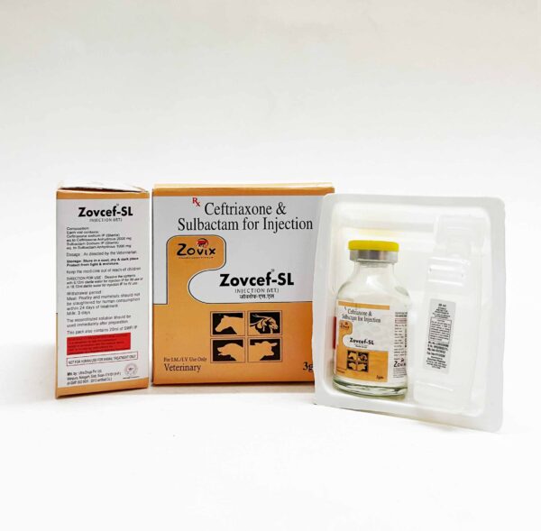 zovcef,zovixpharma,veterinarymedicine,zovixpanchkula