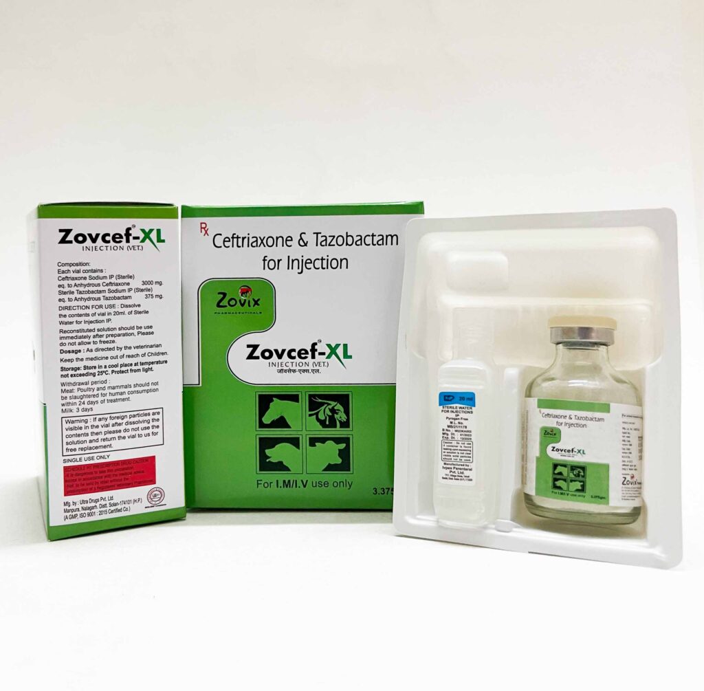 Zefkol Injection Zovcef | Ceftriaxone Injection