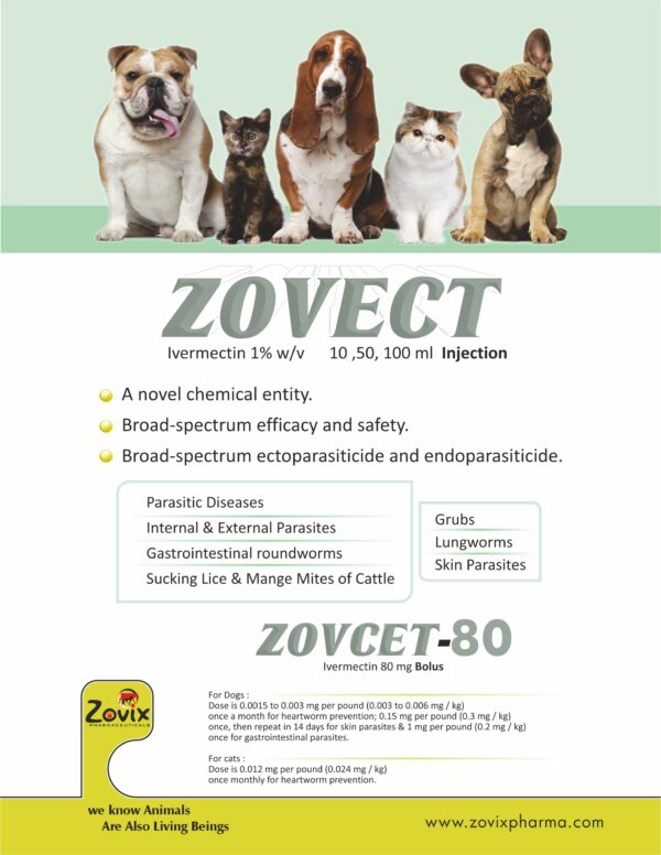 ZOVECT(TM) veterinary injection and ZOVCET-80 bolus containing Ivermectin 1.0% injection 10 mg/ml and Ivermectin 80 mg bolus for treatment and control of internal and external parasites in livestock by Zovix Pharmaceuticals, veterinary pharmaceutical company in India, veterinary pharma manufacturer India, veterinary medicine manufacturer, veterinary pharmaceutical exporter India, animal healthcare products India, veterinary injection manufacturer India, veterinary bolus manufacturer India, animal feed supplement manufacturer India, veterinary pharma franchise India, third party veterinary manufacturing India, veterinary antibiotic injection manufacturer, livestock medicine supplier India, veterinary pharma distributor India, WHO GMP veterinary pharma company India, ISO certified veterinary pharma company India, veterinary medicines for cattle India, animal health product exporter India, veterinary pharma company Panchkula, veterinary pharma company Haryana