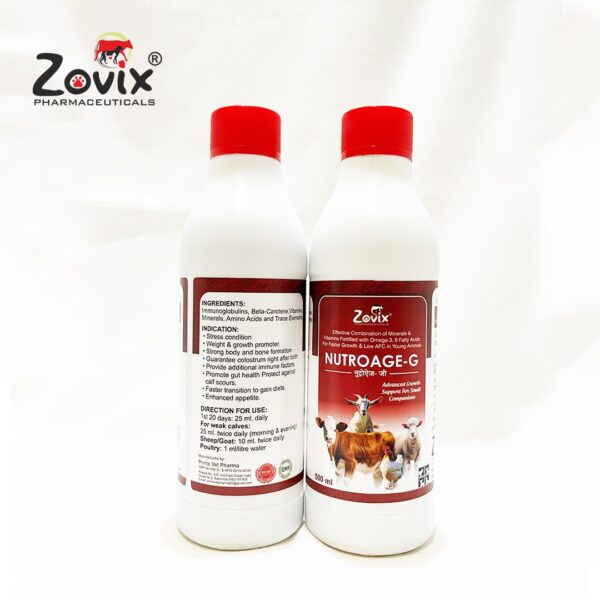 growth and immunity feed suplement in young animals, feed supplement for small aimals, growth in animals, zovix pharmaceuticals, veterinary pcd company, feed products for reproductive health, animal support, zovix, veterinary medicine in panchkula, veterinary product for immunity