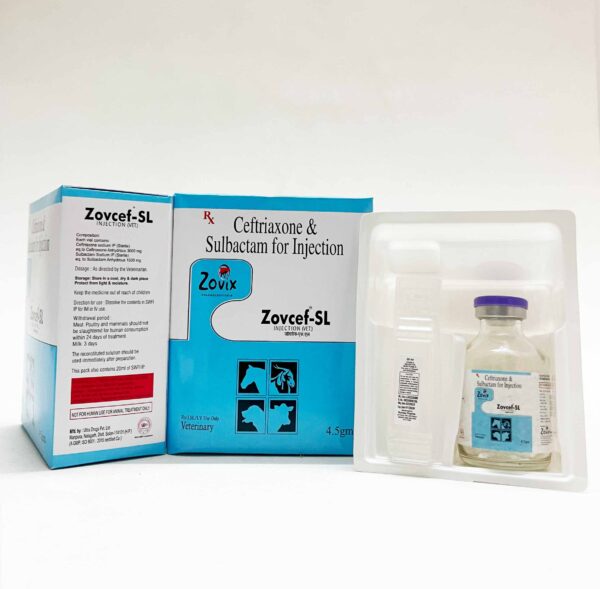 zovcef,zovixpharma,veterinarymedicine,zovixpanchkula