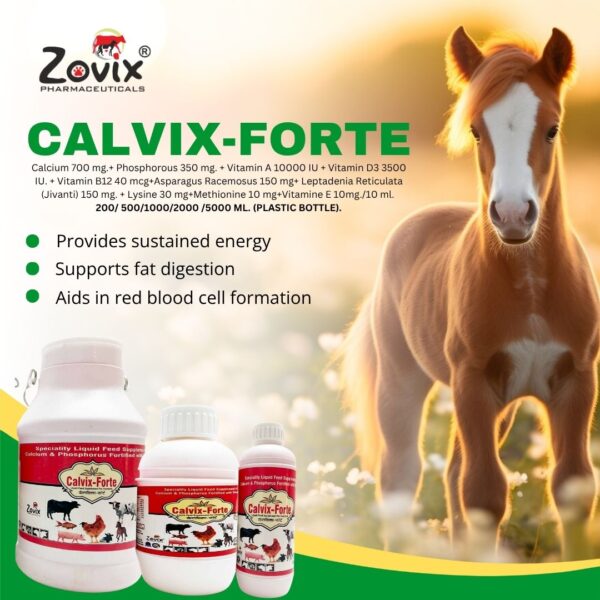 Zovix Pharma CALVIX nutritional supplement product image.