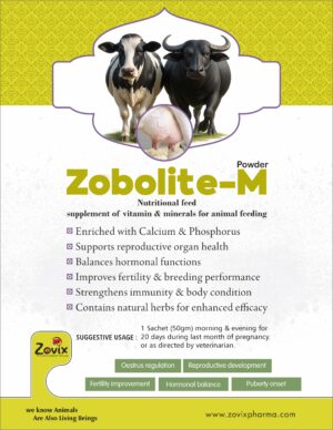 ZOBOLITE-M