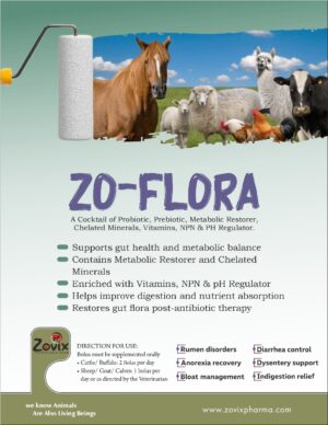 zo-flora, zovix pharmaceuticals, pcd franchise, bolus feed supplement for animals