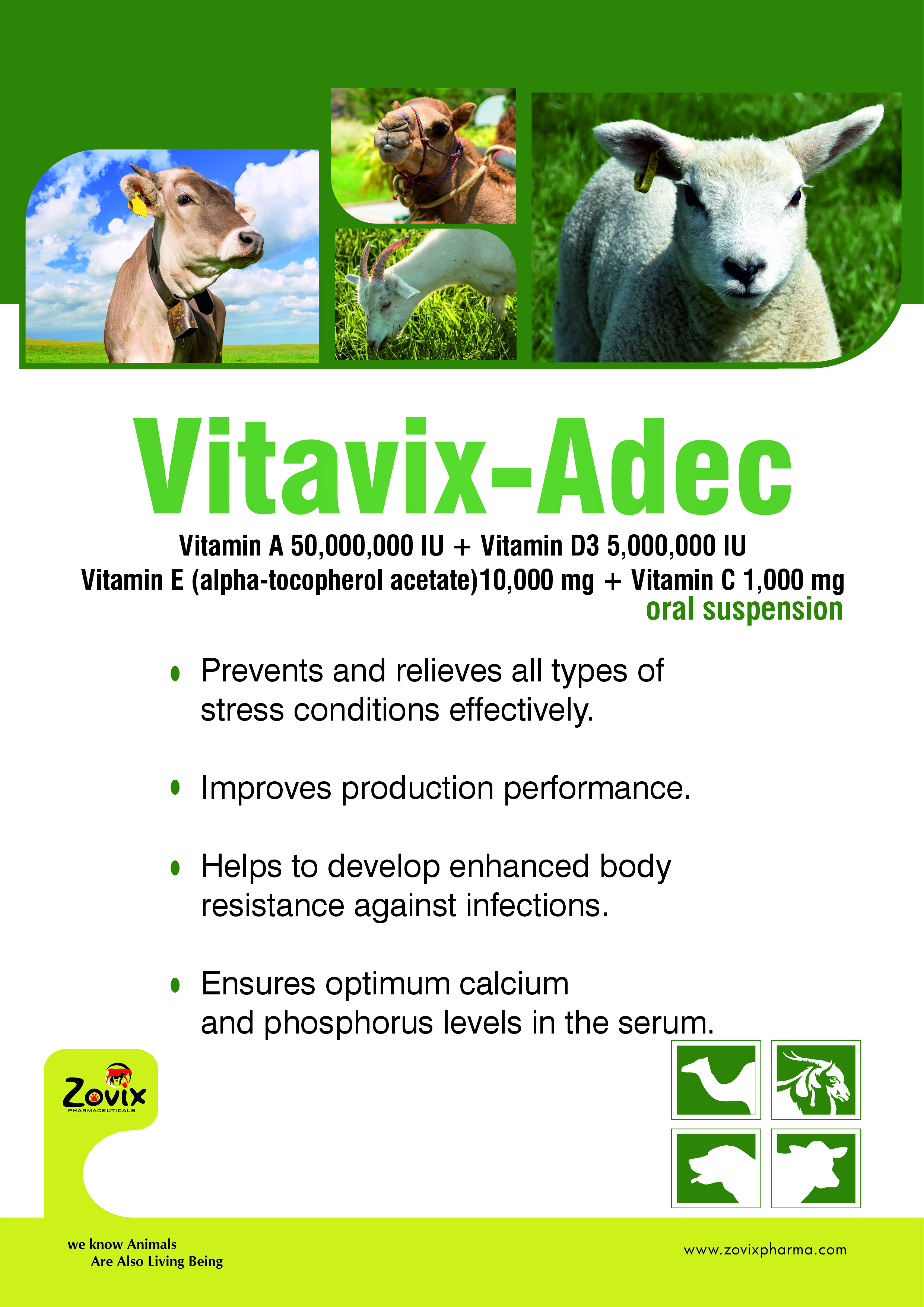 veterinary pharma company India, ISO certified veterinary pharma company India, veterinary medicines for cattle India, animal health product exporter India, veterinary pharma company Panchkula, veterinary pharma company Haryana, VITAVIX ADEC, Saudi markets